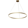 Подвесной светильник MAYTONI RIM MOD058PL-L54BS4K